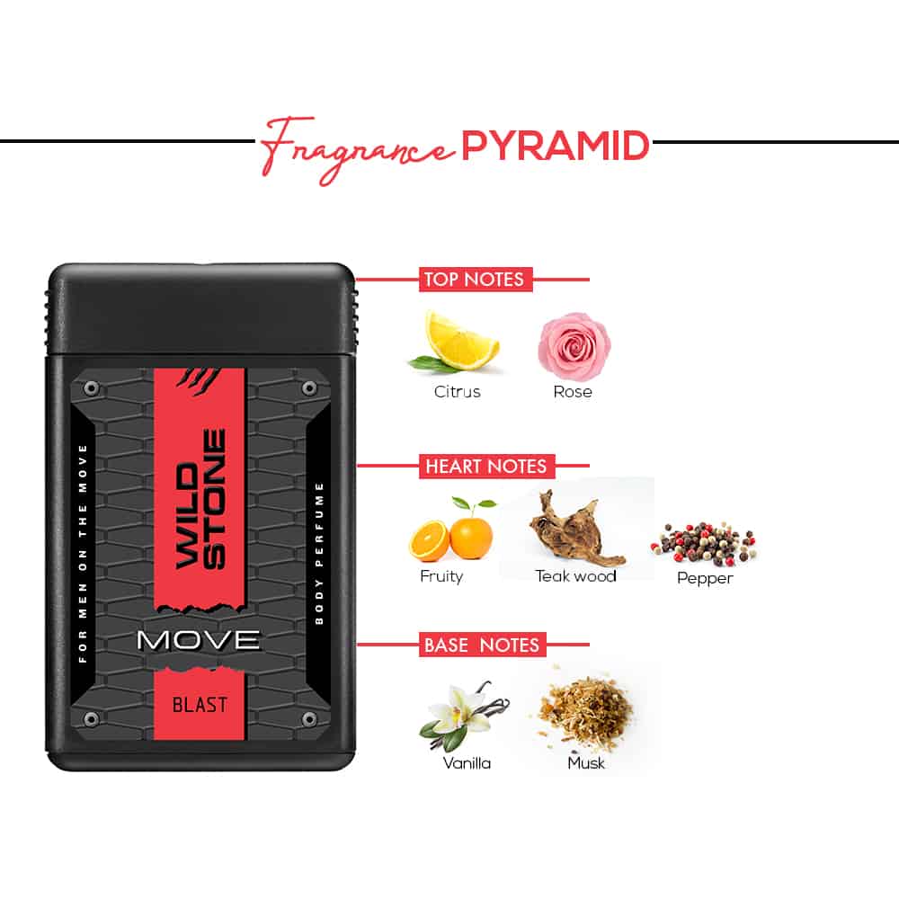 perfume spray wild stone pocket perfume price